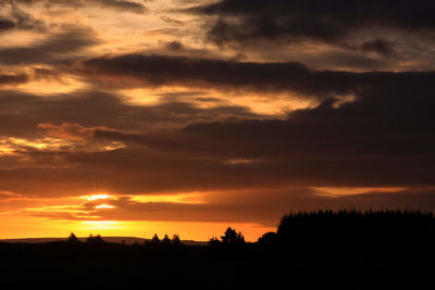 Silhouette trees against dramatic sky during sunset