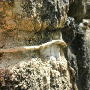 Close-up of rock formation