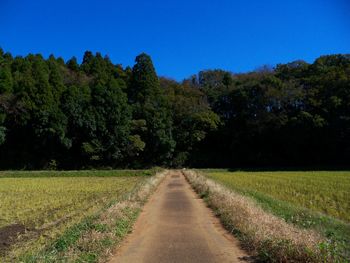 Road amidst field against clear sky