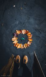 Low section of person standing by autumn leaves