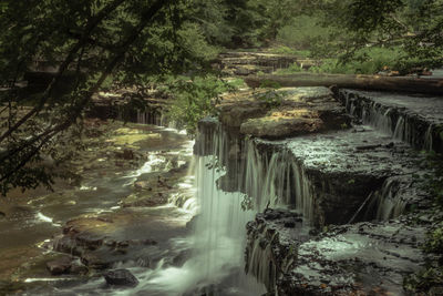 Scenic view of waterfall in forest