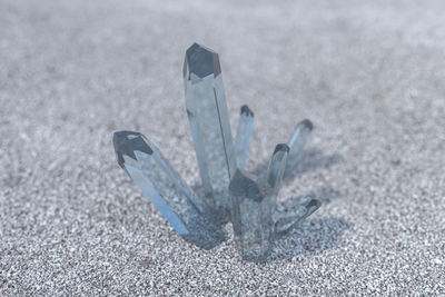 High angle view of feather on sand