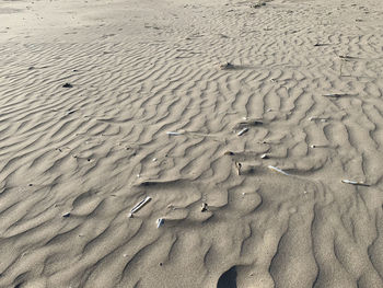 High angle view of footprints on sand at beach