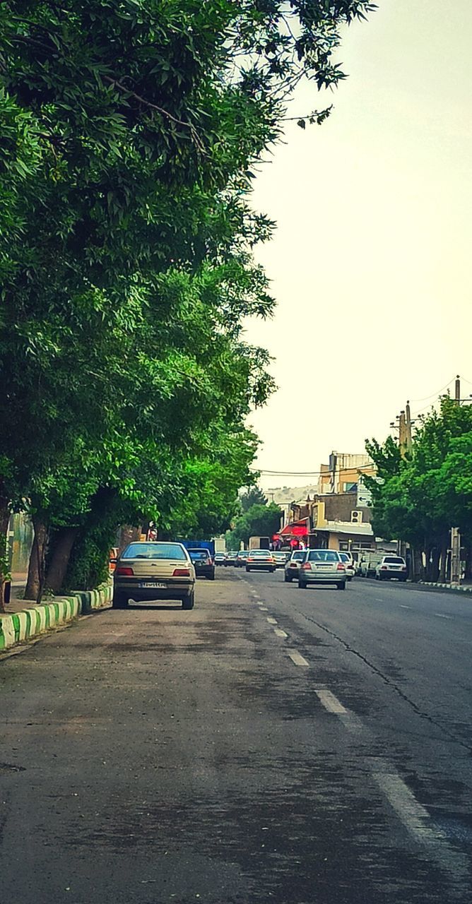 CAR ON STREET IN CITY