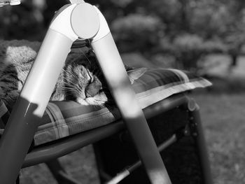 Rear view of woman lying on seat