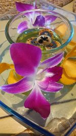 Close-up of pink flowers