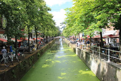 View of canal along trees