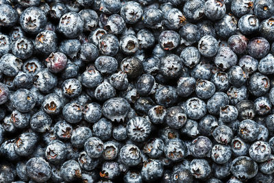 Full frame shot of blueberries