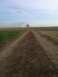 Dirt road along countryside landscape