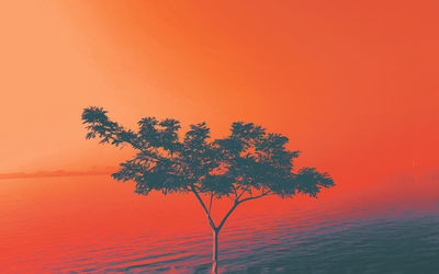 Tree against orange sky