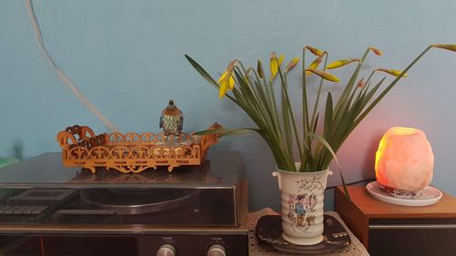 Close-up of potted plants on table at home