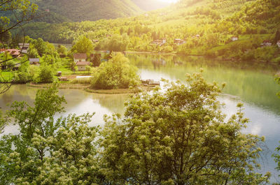 Scenic view of lake by trees against sky