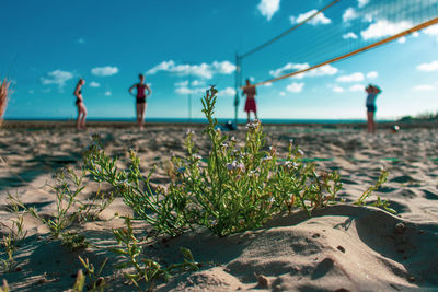 People on beach against sky