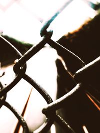 Close-up of chainlink fence