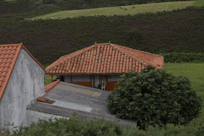 High angle view of houses and trees on field