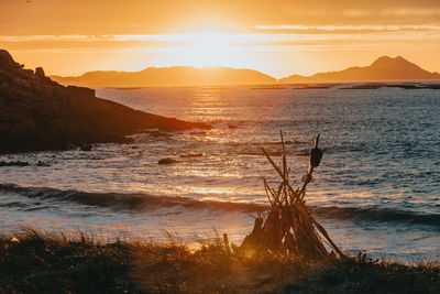 Scenic view of sea during sunset