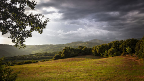 Scenic view of landscape against sky