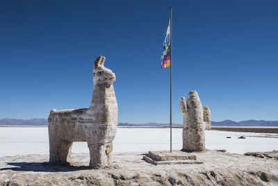 Salt statues at salinas grandes in argentina