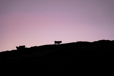 Silhouette horse on landscape against clear sky