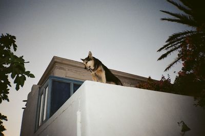 Low angle view of building against clear sky