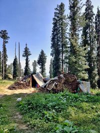 Tent house of nomads in a forest in himalayan kashmir