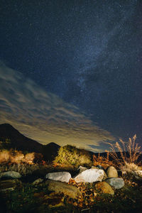 Scenic view of star field against sky at night