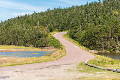 Road amidst trees in forest against sky