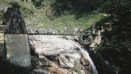 View of bridge over river in forest