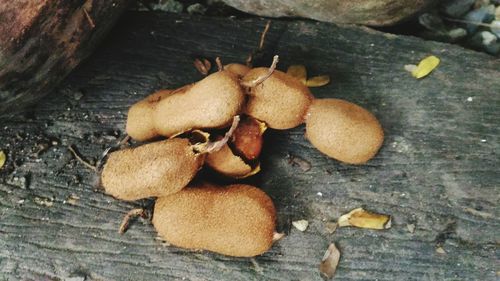 High angle view of bread