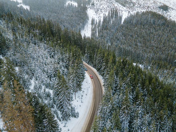 High angle view of road amidst trees