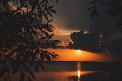 Silhouette trees by sea against sky during sunset