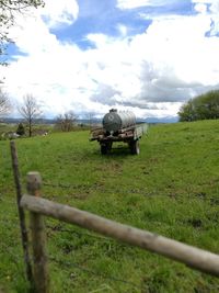 Horse grazing on field against sky