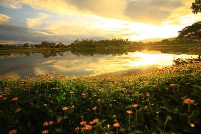 Scenic view of lake against sky during sunset