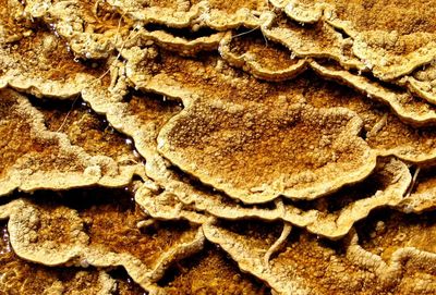 Full frame shot of stone wall