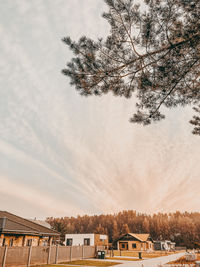 Tree and buildings against sky during winter