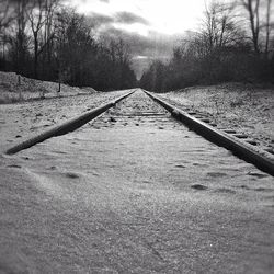 the way forward