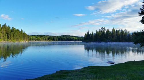 Scenic view of lake in forest against sky