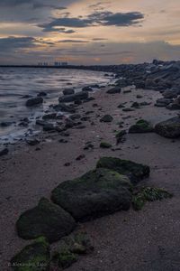 Scenic view of beach during sunset