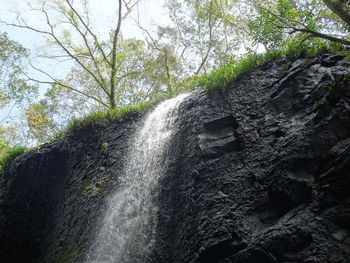 Low angle view of waterfall in forest