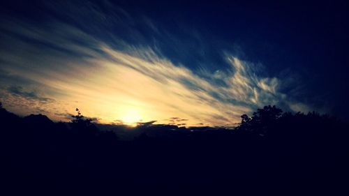 Silhouette of trees against sky during sunset