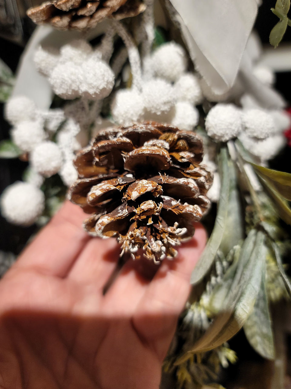 hand, one person, holding, plant, conifer cone, flower, spring, nature, food, food and drink, close-up, pine cone, adult, christmas decoration, tree, leaf, freshness, selective focus, day, winter, coniferous tree, outdoors, lifestyles, pinaceae, celebration