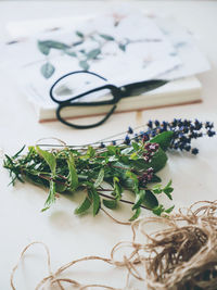 High angle view of plants in glass on table