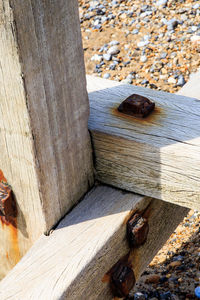 Close-up of lizard on wood