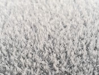 Close-up of snow
