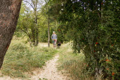 Rear view of man walking on footpath amidst trees