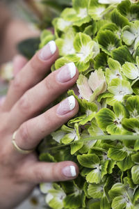 Close-up of hand holding flower