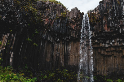 Svartifoss waterfall on vatnajokull national park, iceland.