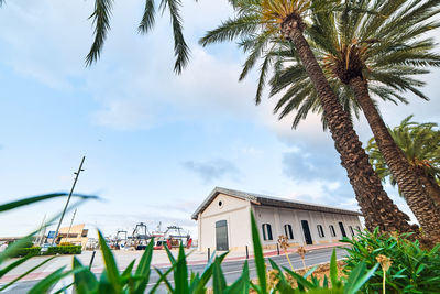 Low angle view of palm tree by house against sky