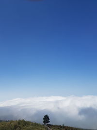 Trees on landscape against blue sky