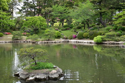 Scenic view of lake in forest